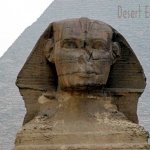 Egypt Gallery